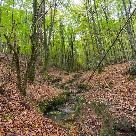 Εξοχικό σπίτι Caserio Iruaritz *