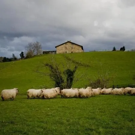 Caserio Iruaritz Εξοχικό σπίτι *