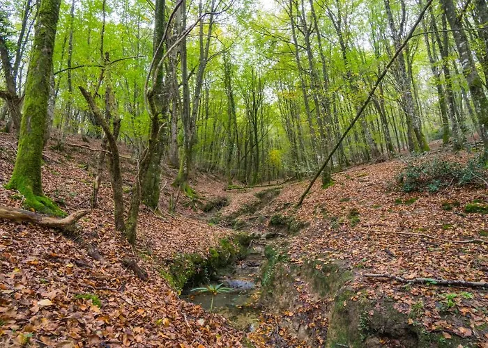 Casa rural Caserio Iruaritz *