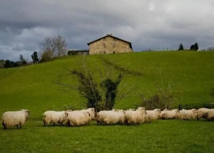 Caserio Iruaritz Casa rural *