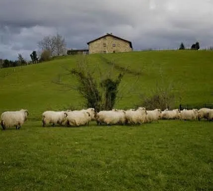 Casa rural Caserio Iruaritz Amurrio